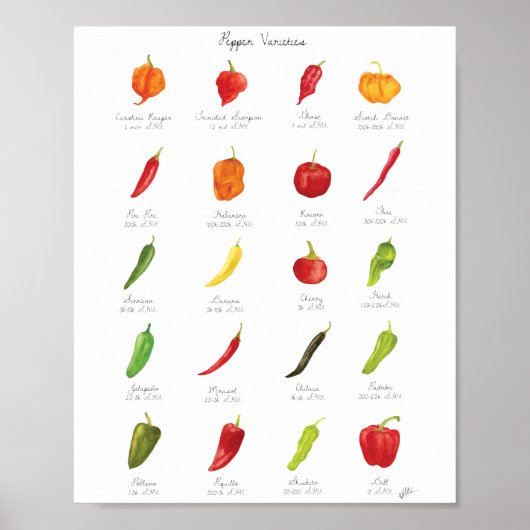 Poster Variétés de poivre aquarelle Infographie (Devant)