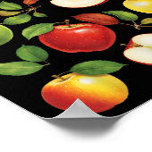 Poster Variétés de pommes Différentes sortes de cueilleur (Coin)
