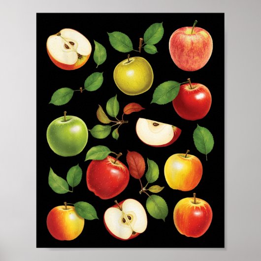 Poster Variétés de pommes Différentes sortes de cueilleur (Devant)