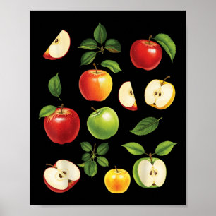 Poster Variétés de pommes différents types de cueilleurs