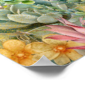 Poster Variety Of Succulents (Coin)