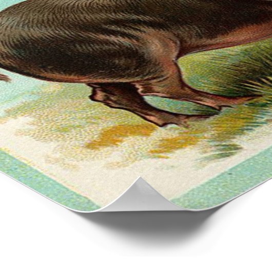 Poster Varkens -  kunst (Hoek)