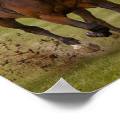 Poster "Vas-y gallop" (Coin)