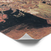 Poster Vase avec Gladioli et oeillets de Van Gogh (Coin)