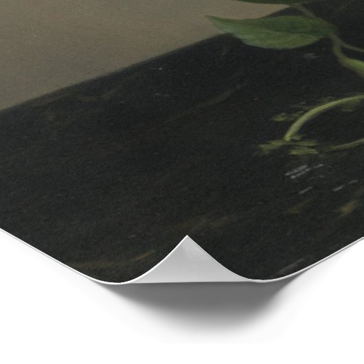 Poster Vase des glories du matin (Coin)