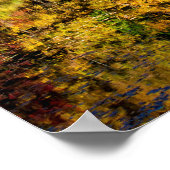 Poster Vassar Farms Pond (Coin)
