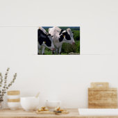 Poster Vattle laitière Holstein (Cuisine)