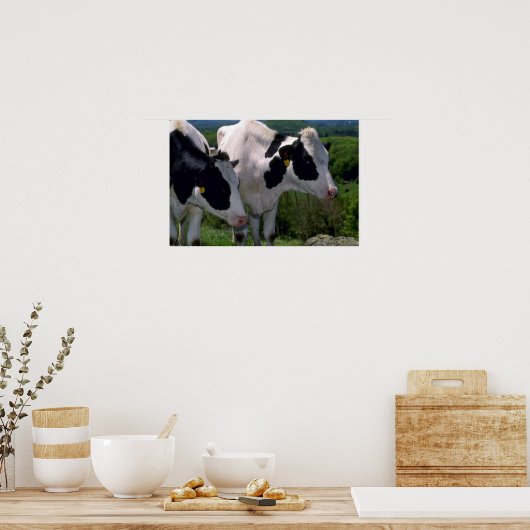 Poster Vattle laitière Holstein (Cuisine)