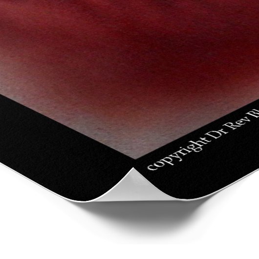 Poster Vautour (Coin)