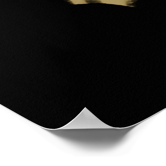 Poster Vautour (Coin)