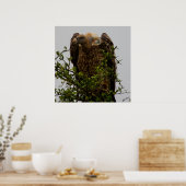 Poster Vautour (Cuisine)