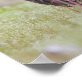 Poster Vautour de Turquie (Coin)