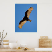 Poster Vautour de Turquie (Cuisine)