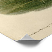 Poster Vautour noir, des oiseaux d'Amérique d'Audubon (Coin)