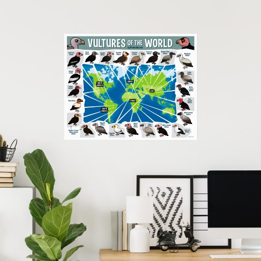 Poster Vautours de la carte du monde (Bureau à domicile)
