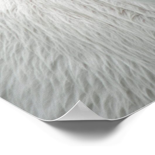 Poster Veau blanc lunaire (Coin)