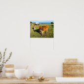Poster Veaux Jersey, St John, Jersey (Cuisine)