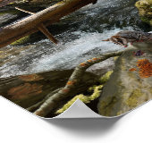 Poster Vectidromeus Paire d'Impression (Coin)