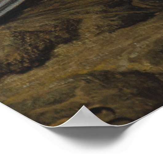 Poster Vedder Soul CC0007 (Coin)