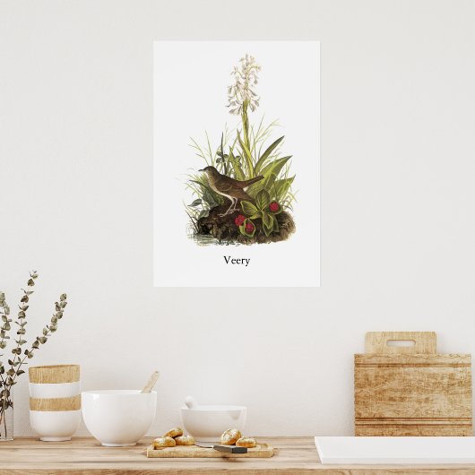 Poster Veery, John Audubon (Cuisine)