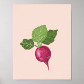 Poster Vegetable wall art - Raddish illustration (Devant)