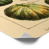 Poster végétal vintage en français Imprimer Botani (Coin)