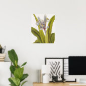 Poster végétal vintage; Iris (Bureau à domicile)
