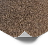 Poster Végétarien (Coin)