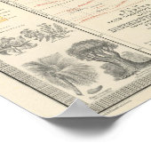 Poster Végétation de distribution (Coin)