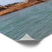 Poster Végétation de l'île 1 (Coin)