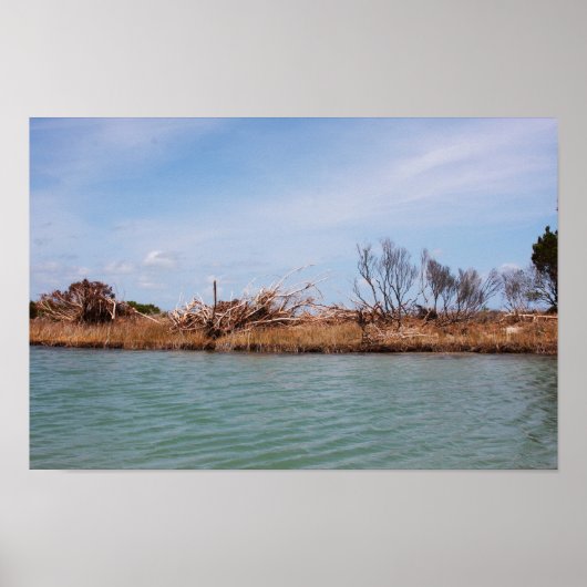 Poster Végétation de l'île 1 (Devant)