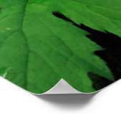 Poster Végétation verte luxuriante (Coin)