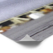 Poster Véhicule de recherche sur l'atterrissage lunaire e (Coin)