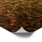 Poster Véhicules vintages (Coin)