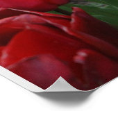 Poster Veille (Coin)