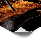 Poster Veillée médiévale du chevalier au coucher du solei (Coin)