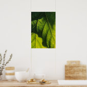 Poster Veines à feuilles vertes (Cuisine)
