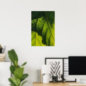 Poster Veines à feuilles vertes (Bureau à domicile)