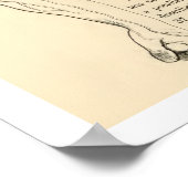 Poster Veines anatomiques vintages du bras humain (Coin)