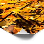 Poster Veines D'Or De L'Automne (Coin)