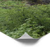 Poster Veliki Slap (Cascade) Plitvice Lakes National (Coin)