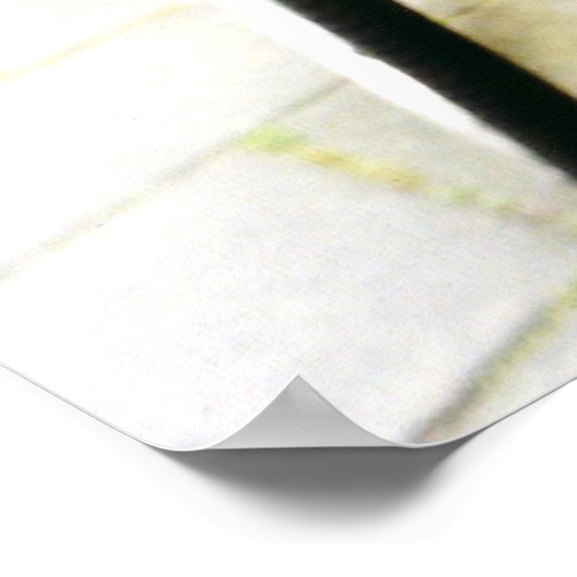 Poster Vélo Amsterdam (Coin)