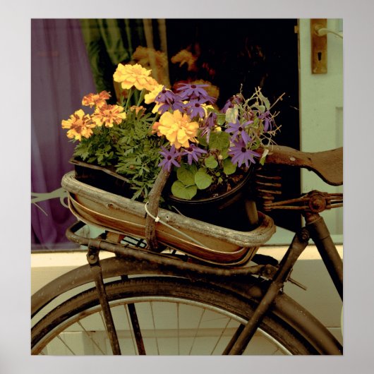 Poster Vélo antique et fleurs (Devant)
