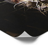 Poster Vélo rouillé (Coin)