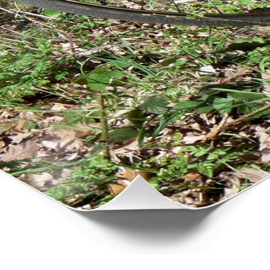 POSTER VÉLOS (Coin)