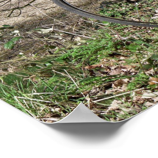 POSTER VÉLOS (Coin)