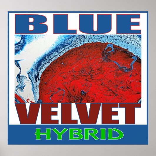 POSTER VELVET BLEU HYBRIDE (Devant)