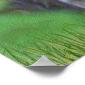 Poster Velvet Whitetail Deer Buck (Coin)