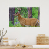 Poster Velvet Whitetail Deer Buck (Cuisine)