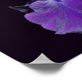Poster Velvety Violet Porté Iris Flower Art (Coin)